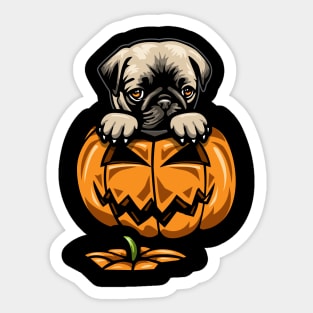 Cute Pug Pumpkin Sticker